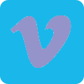 Vimeo Icon